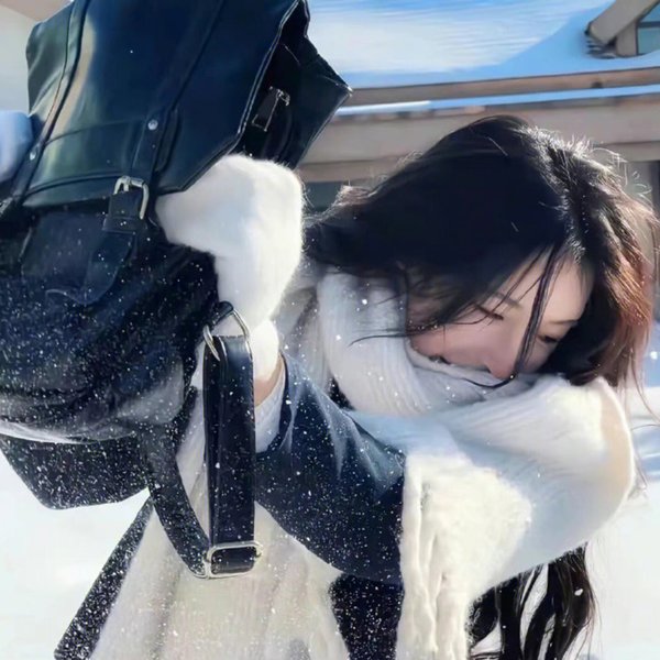 冈比 海报