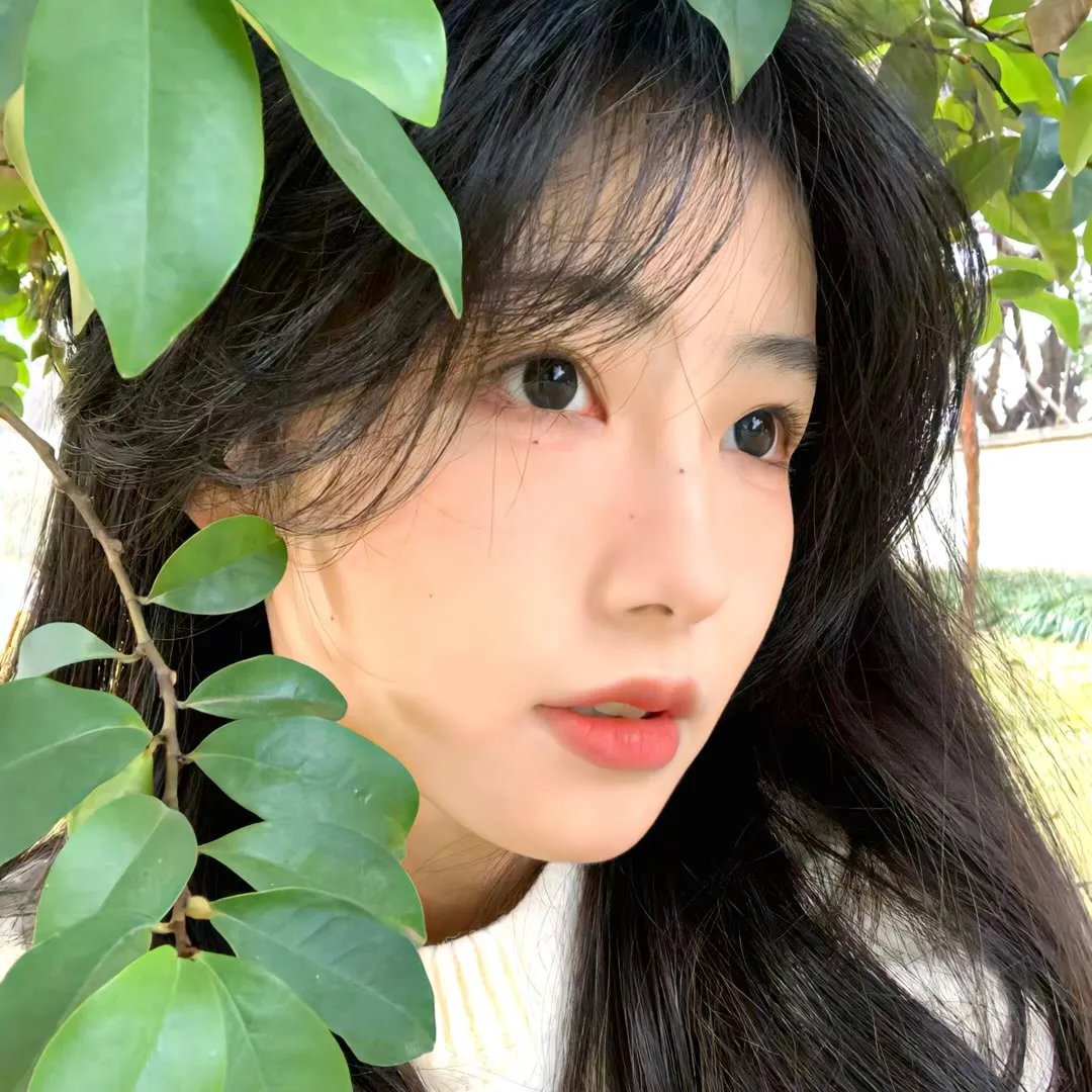 哈莉·奎茵第一季 海报